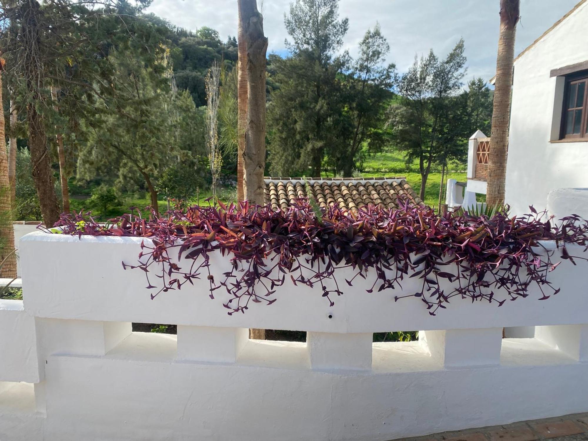 Malaga Sierra De Las Nieves By Real Spain Hotels Adults Recommended Casarabonela Extérieur photo